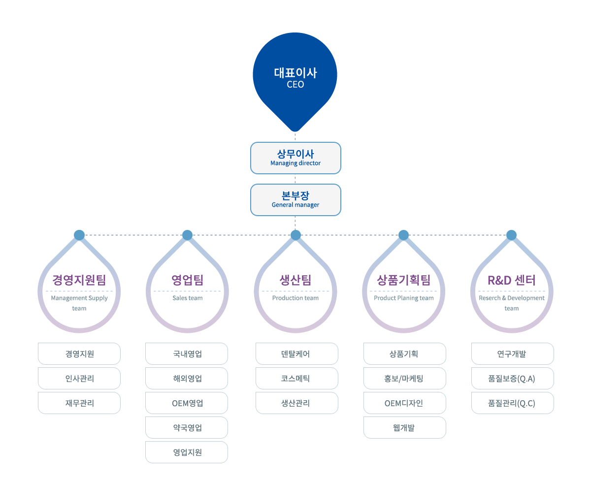 성원제약 조직도